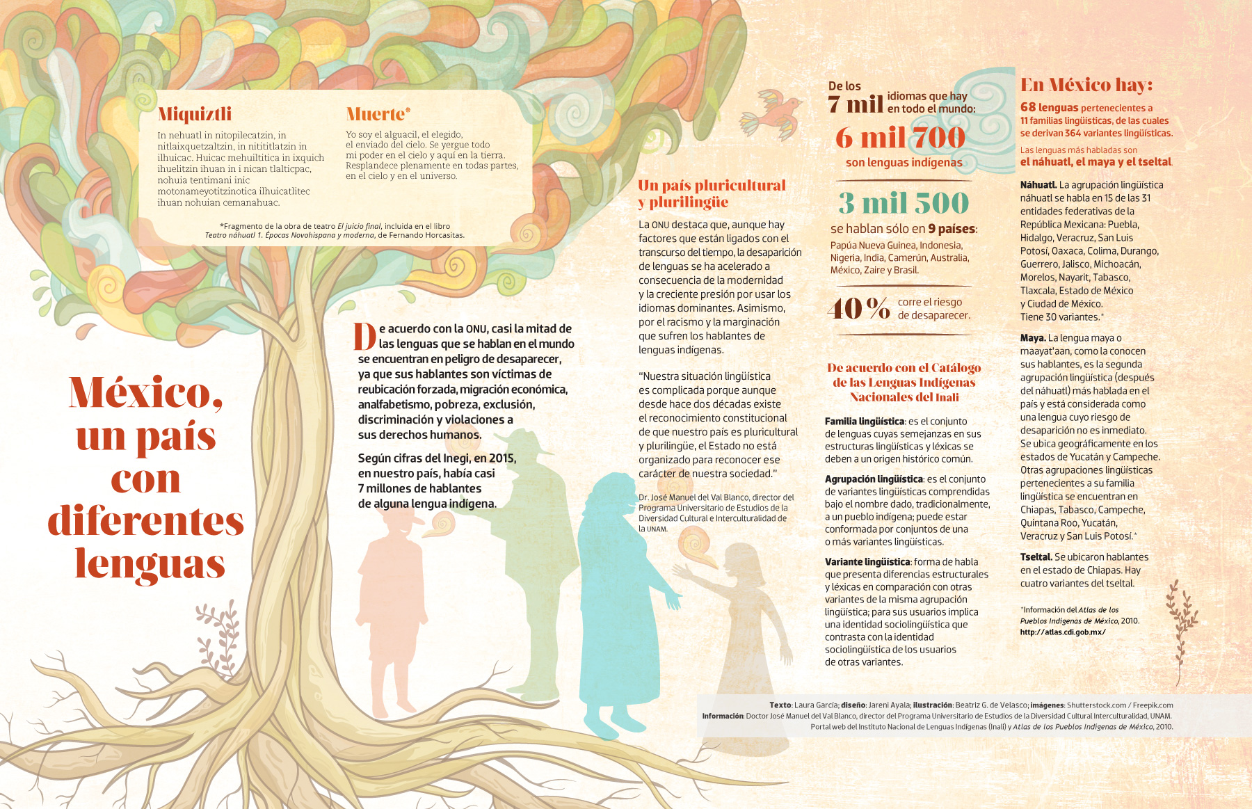 Infografía México Y Sus Lenguas Indígenas 7694