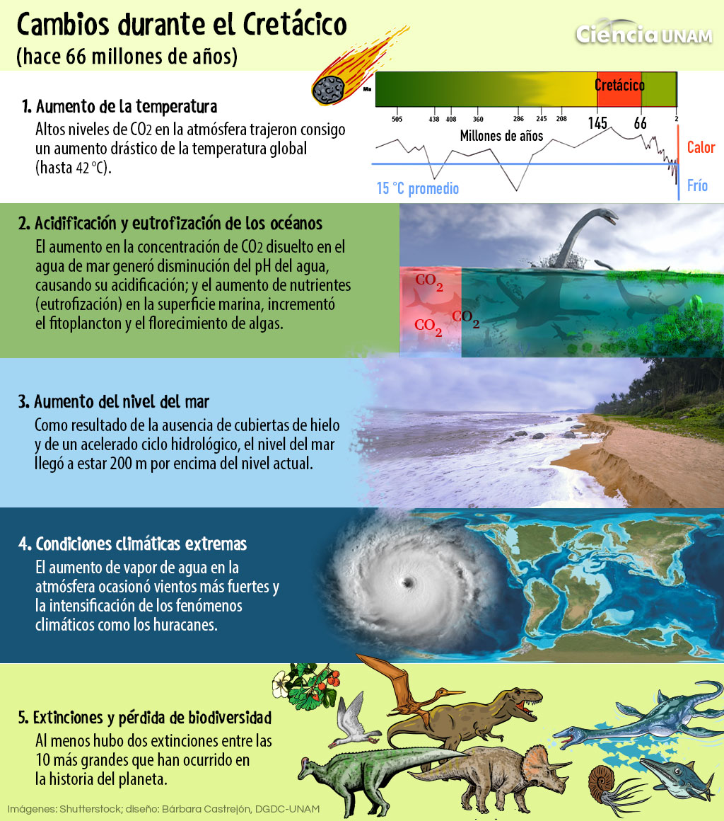 Así fue el cambio climático en el Cretácico - Ciencia UNAM