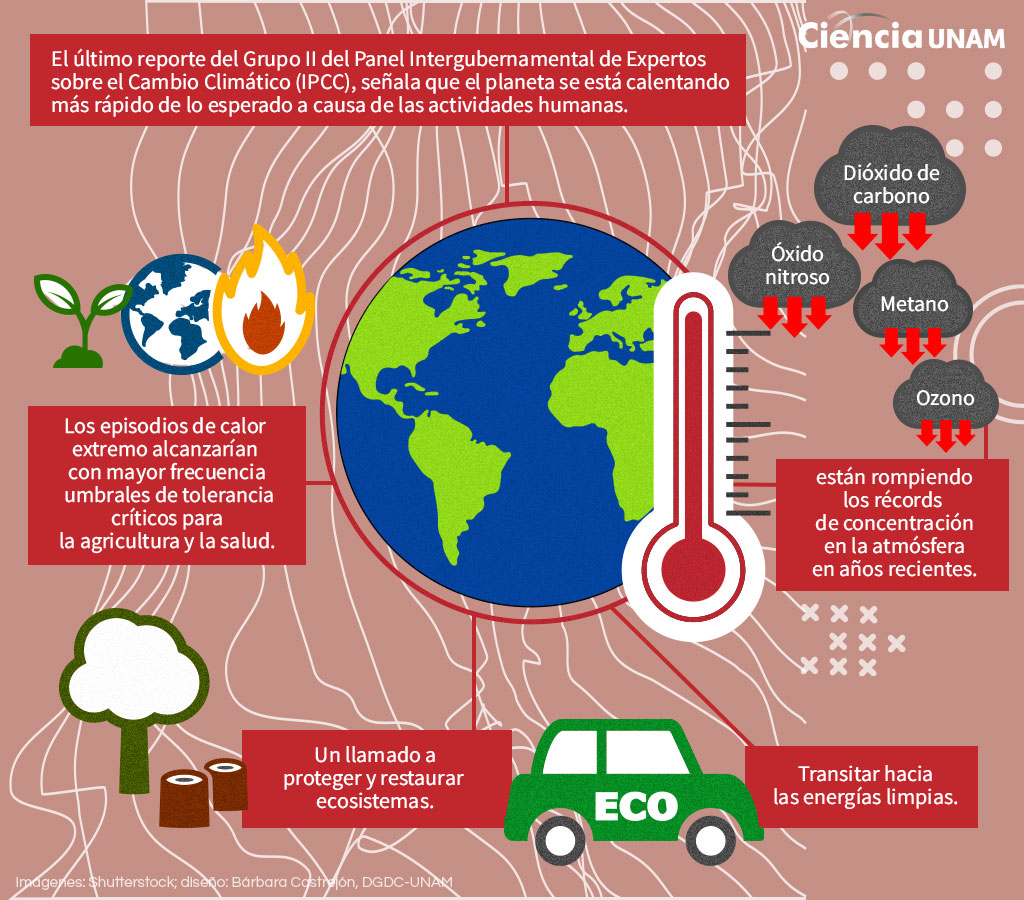 Cambio Climático De La Evidencia A La Mitigación Ciencia Unam 