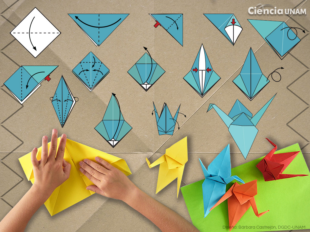 Origami doblar papel no es solo entretenimiento Ciencia UNAM