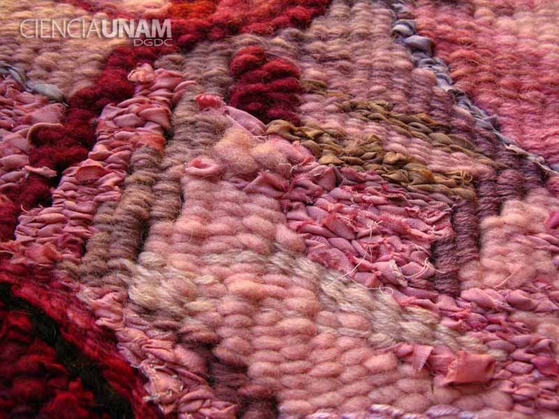 cada Melancolía Superposición Tintes naturales, teñido artesanal de textiles - Ciencia UNAM