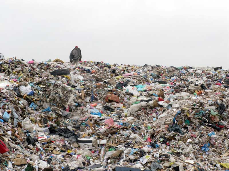 Residuos sólidos urbanos: un grave problema ambiental - Ciencia UNAM