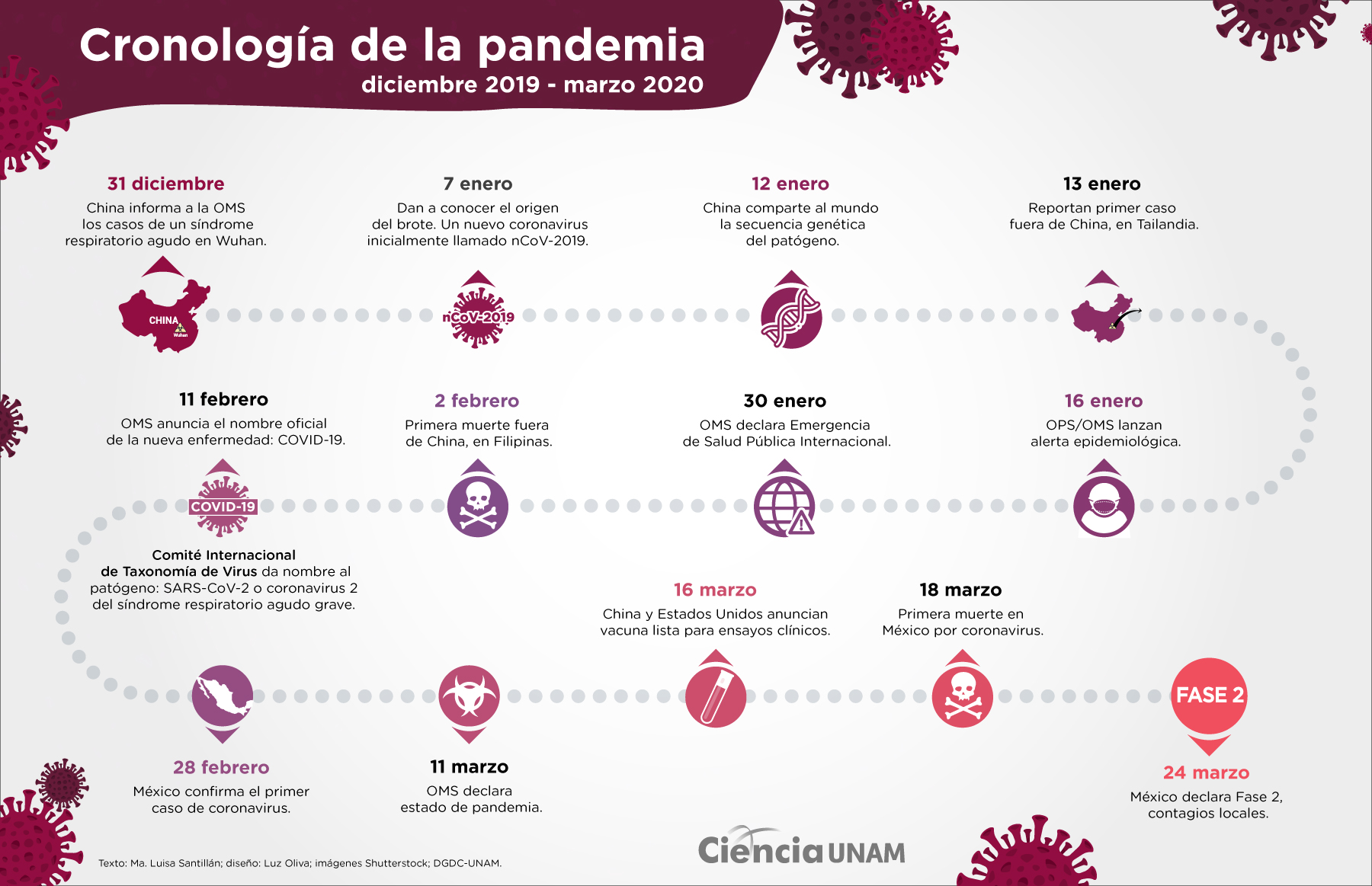 INFOGRAFÍA Coronavirus. Cronología de la Pandemia Ciencia UNAM
