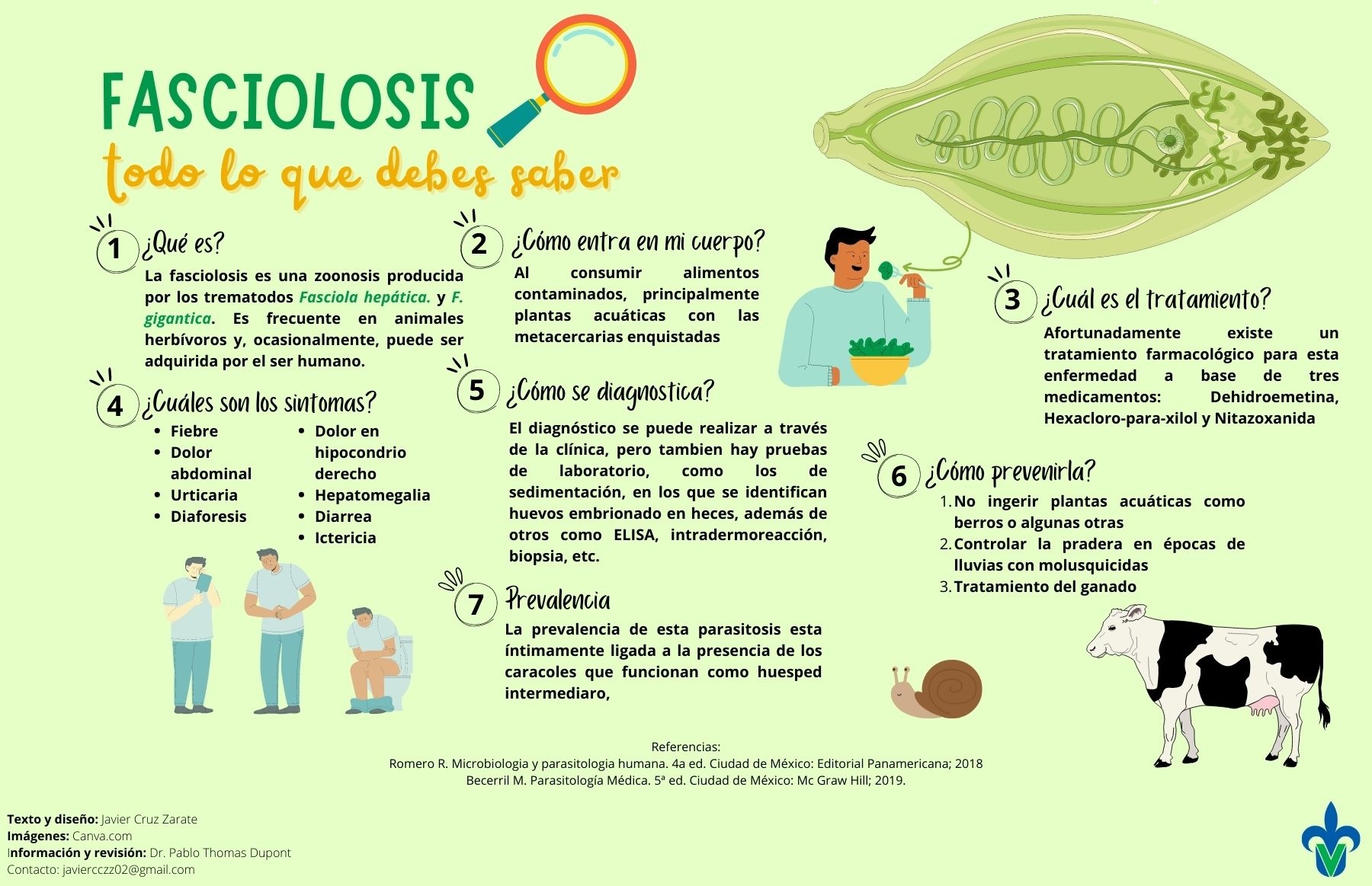 Fasciola Hepática En El Hígado