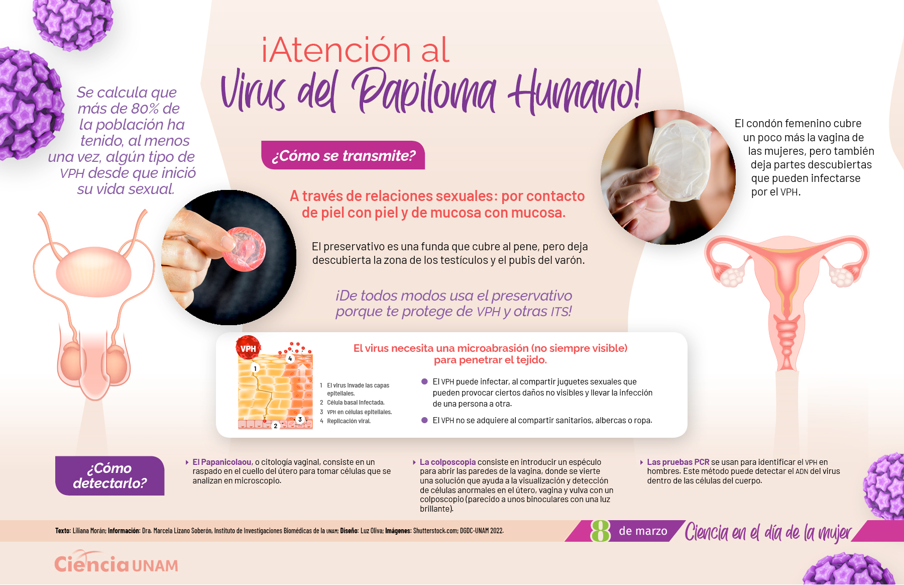 Especial Día de la Mujer. Detección del Virus del Papiloma Humano - Ciencia  UNAM