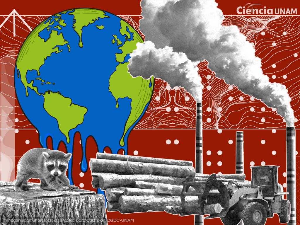 Cambio climático, de la evidencia a la mitigación - Ciencia UNAM