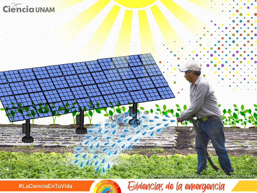 Fertilizantes ecológicos a partir de la luz solar - Revista InfoAgro México
