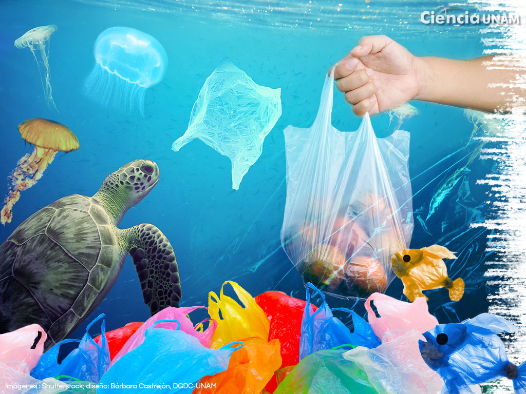 Bolsas de plástico, tela, compostables… ¿cuál es menos dañina para el  medioambiente?
