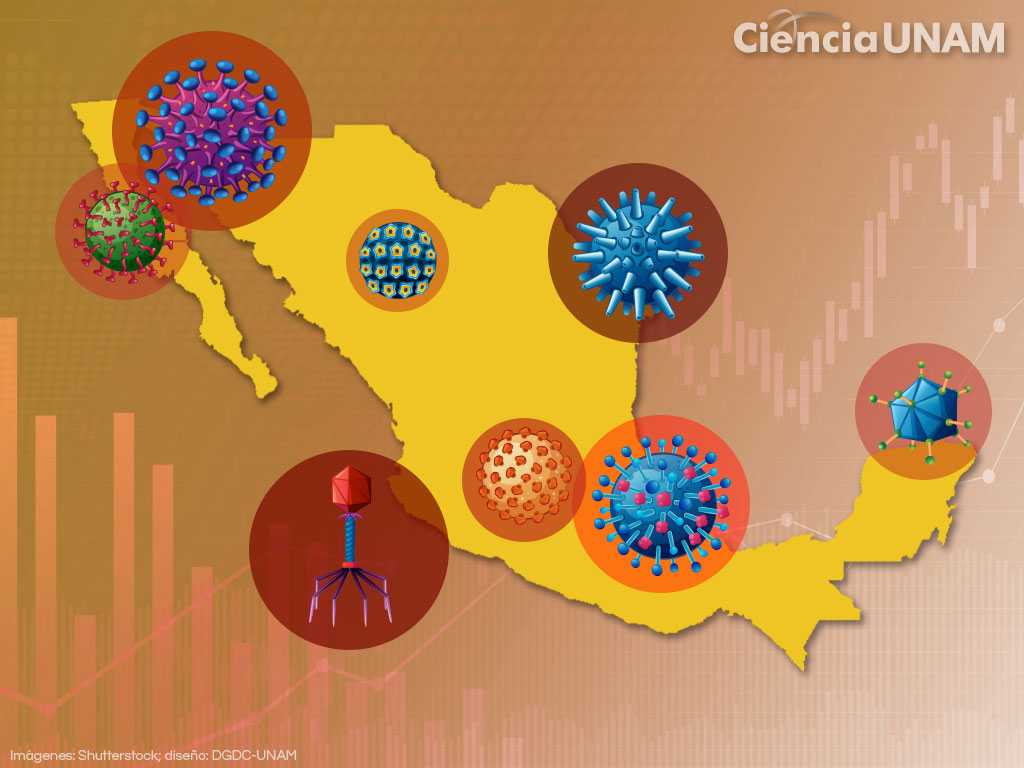 Epidemiología, útil para describir e investigar la salud de la población -  Ciencia UNAM