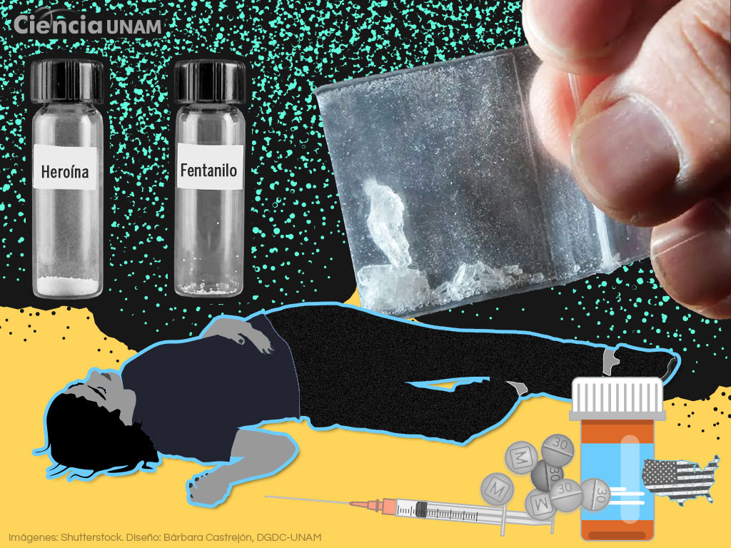 Fentanilo, la droga que se ha convertido en un problema de salud pública - Ciencia UNAM