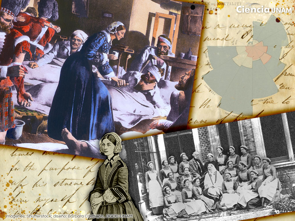 Florence Nightingale: teórica del cuidado y la enfermería - Ciencia UNAM