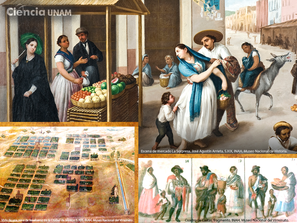 Cómo vivía la gente en tiempos de la Independencia - Ciencia UNAM