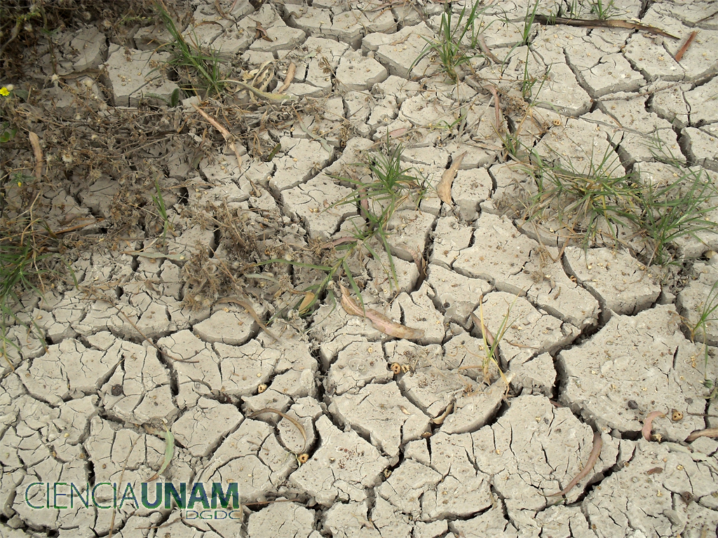 Evitar desgracias por la sequía - Ciencia UNAM
