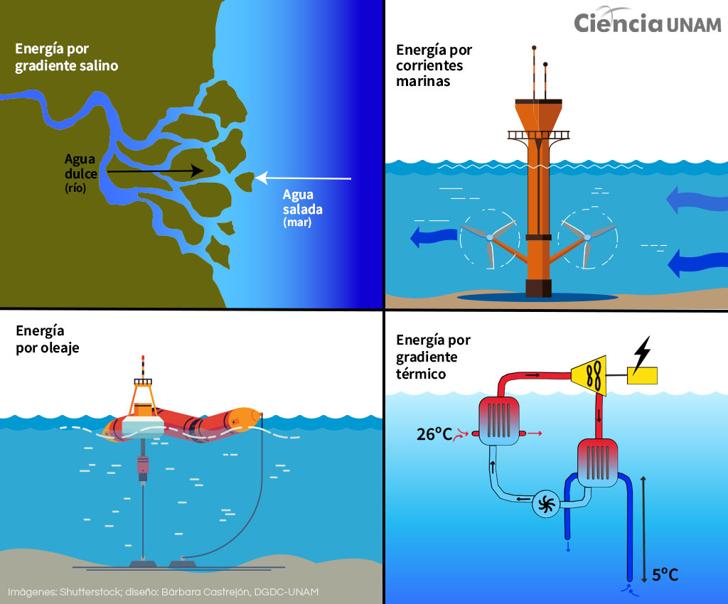 El océano, un gran generador de energía - Ciencia UNAM
