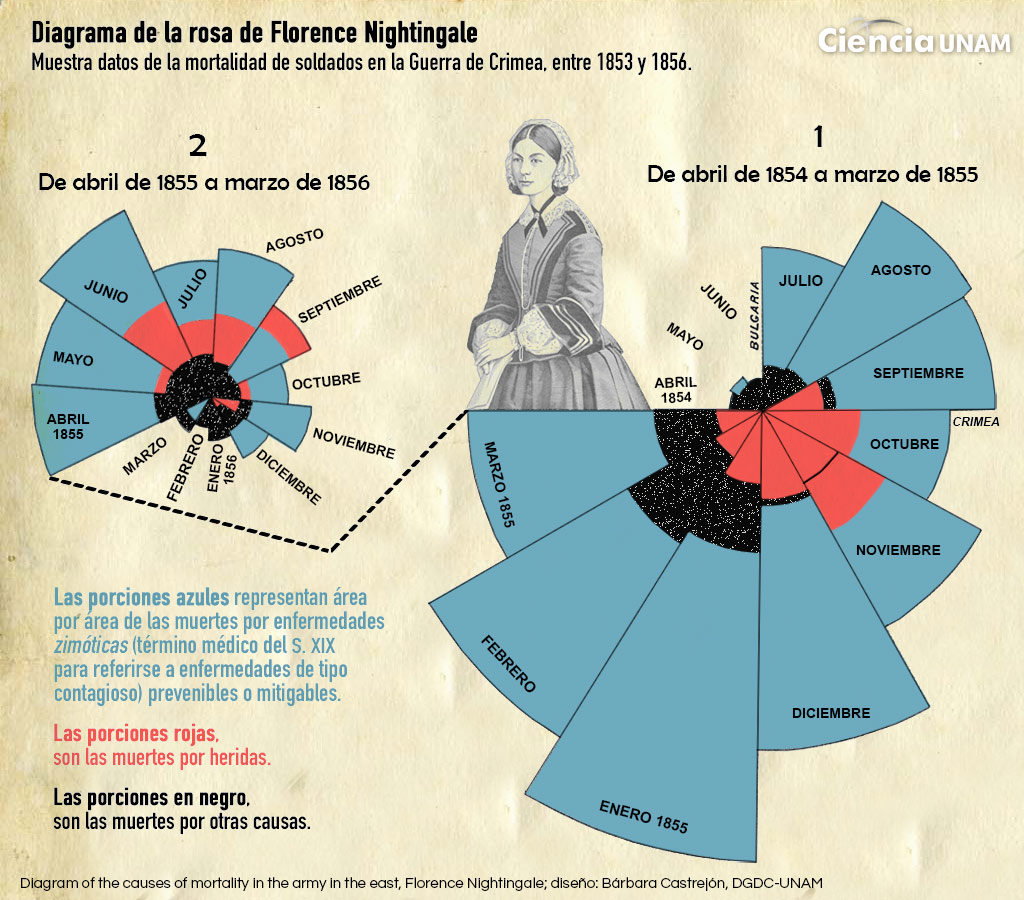 Florence Nightingale: teórica del cuidado y la enfermería - Ciencia UNAM