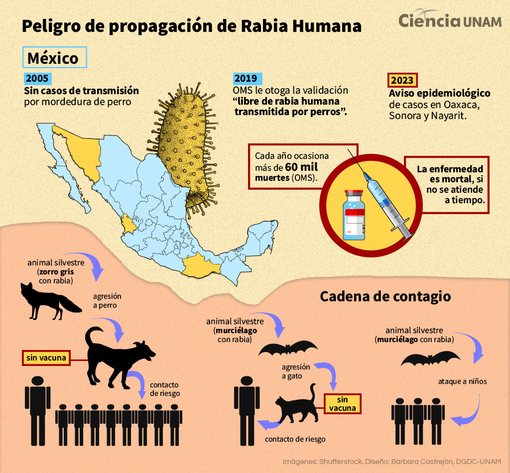 ¿Peligro de propagación de Rabia Humana? Ciencia UNAM