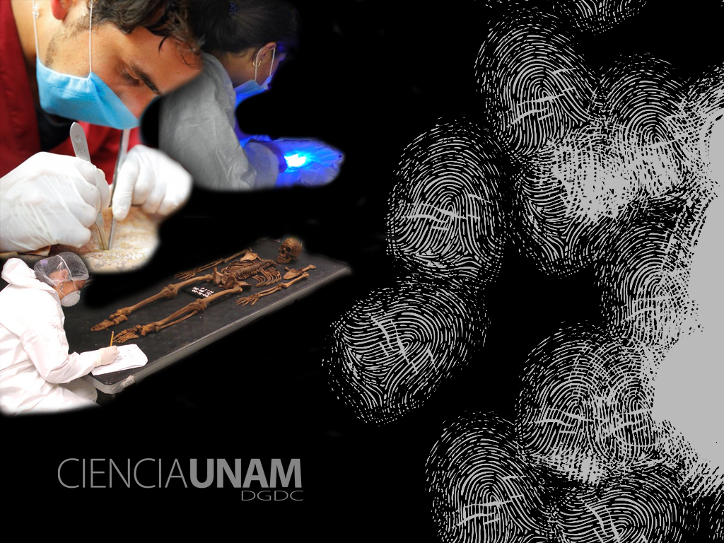 Ciencia forense, necesaria para la prevención del delito - Ciencia UNAM