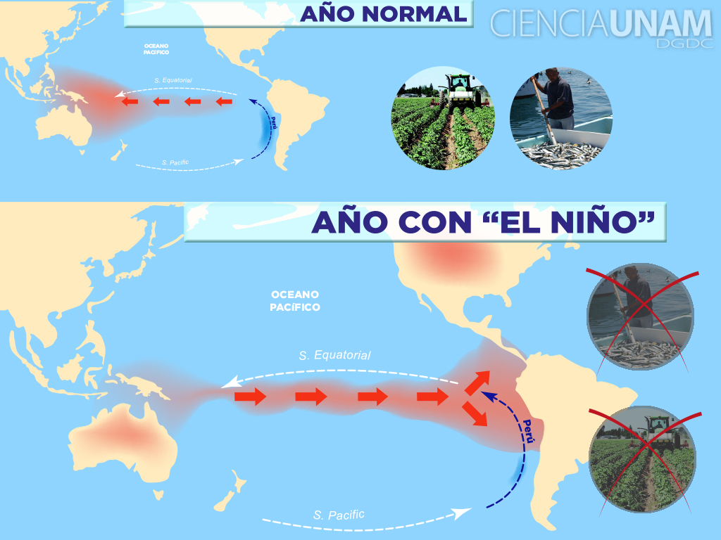 El Niño afecta a los sectores agrícola y pesquero en México - Ciencia UNAM