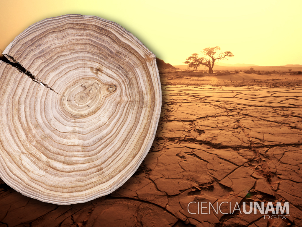 Sequías intensas que han azotado México - Ciencia UNAM
